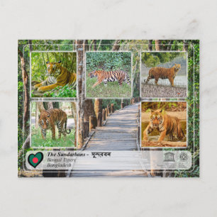 UNESCO WHV - De Sundarbans Briefkaart