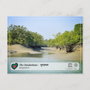 UNESCO WHV - De Sundarbans Briefkaart