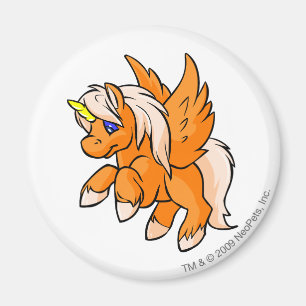 Uni Oranje Magneet