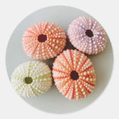 Uni Zee Urchin Small Round Sticker (Voorkant)