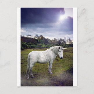 UNICORN BRIEFKAART