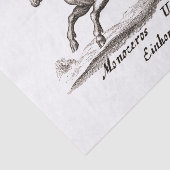 Unicorn Classic Running Magic Woodland Creature Tissuepapier (Detail)