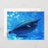 Unicorn Fish Briefkaart (Voorkant / Achterkant)