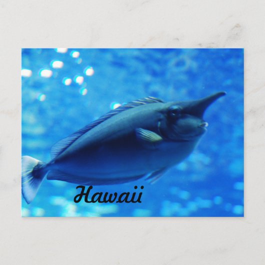 Unicorn Fish Briefkaart (Voorkant)