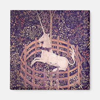 Unicorn in de waterhuishouding Magneet