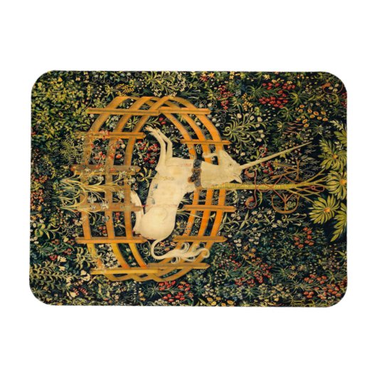 Unicorn in gevangenschap magneet (Horizontaal)