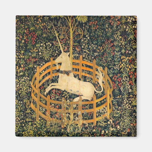 Unicorn in gevangenschap magneet (Voorkant)
