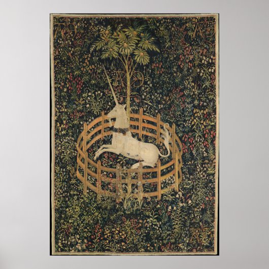 Unicorn in gevangenschap poster (Voorkant)