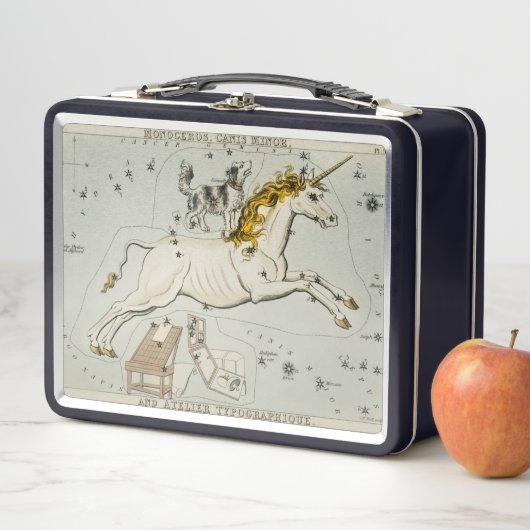 Unicorn Lunchbox (In situ)