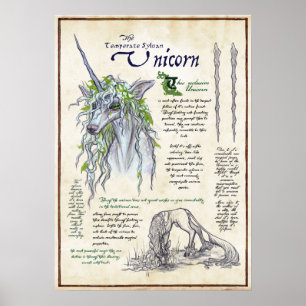 Unicorn - Mythologisch Poster op de pagina Bestiar