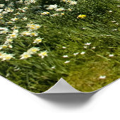 Unicorn Poster (Hoek)