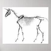 Unicorn Skeleton Poster (Voorkant)