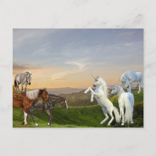 Unicorns ontmoeten paarden Fantasiland Briefkaart