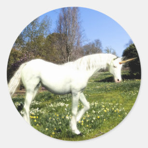 Unicorns Ronde Sticker