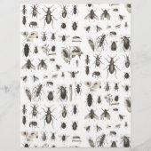 Uniek beschermkapje en snijpatroon (Achterkant)