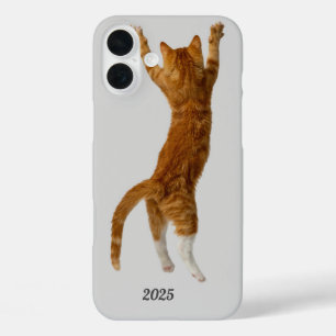 Uniek en leuk ontwerp van telefoonhoes" iPhone 16 plus hoesje