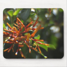 Uniek Oranje Plant op een Mousepad Muismat