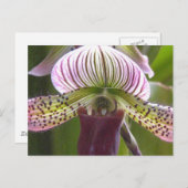 Uniek Orchid Briefkaart (Voorkant / Achterkant)