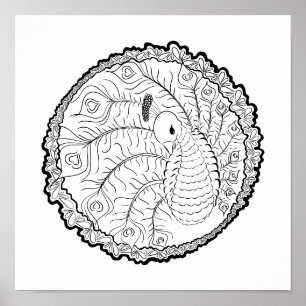 Uniek Peacock Art Kleurplaat Poster