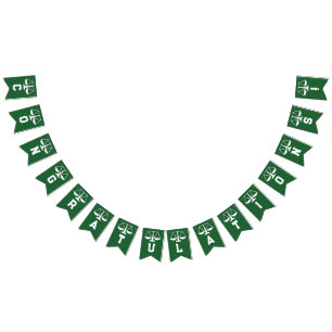 Uniek Recht School Afstuderen Vlaggetjes