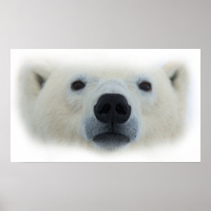 Unieke Chique Polar Beer Artwork Poster Print