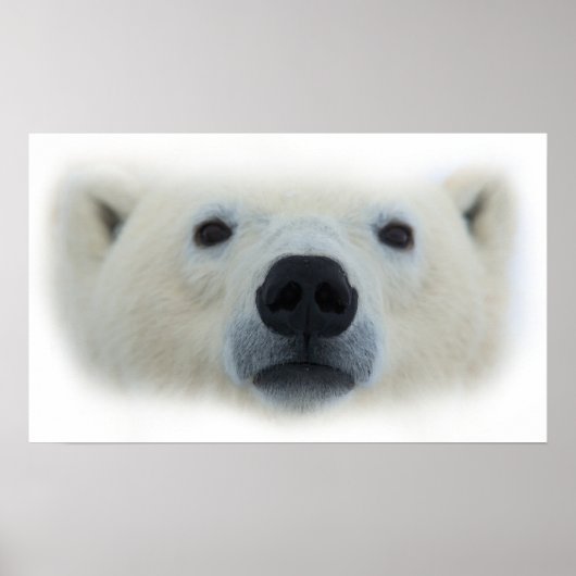 Unieke Chique Polar Beer Artwork Poster Print (Voorkant)