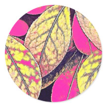 Unieke gefilterde foto