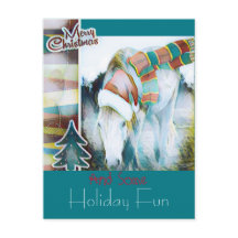 Unieke kerstfeestdag met hoge Pony