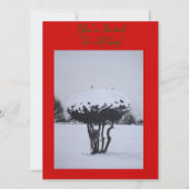 Unieke Kerstlandschap Sneeuwscène Kaart (Voorkant)