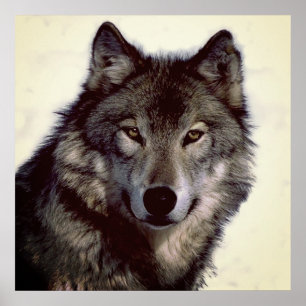 Unieke Motivatie Wolf Creative Square Poster