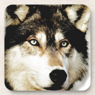 Unieke Motivatie wolf Onderzetter