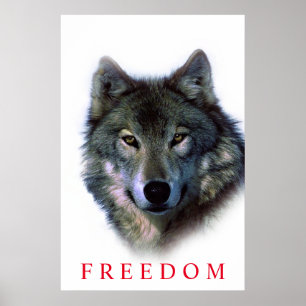 Unieke Motiverende Vrijheid Wolf Deur Poster