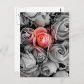 Unieke schoonheid briefkaart (Voorkant / Achterkant)