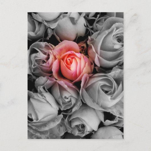 Unieke schoonheid briefkaart (Voorkant)