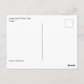 Unieke Tulp met rood en wit Briefkaart (Achterkant)