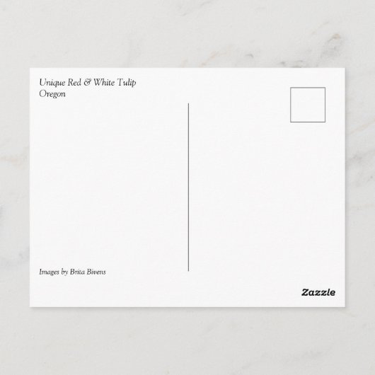 Unieke Tulp met rood en wit Briefkaart (Achterkant)