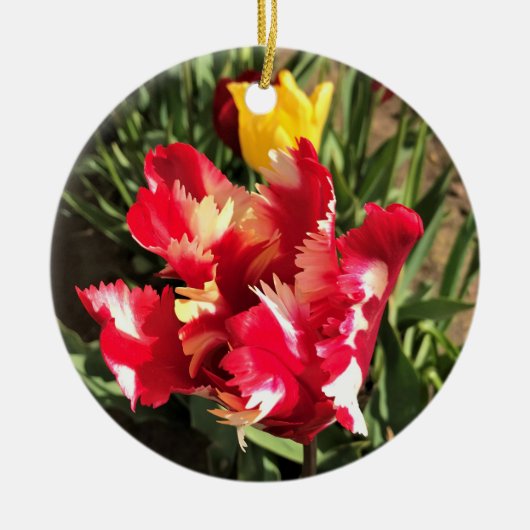 Unieke Tulp met rood en wit Keramisch Ornament (Voorkant)