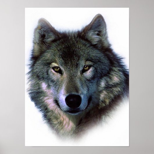 Unieke Wolf Eyes Artwork Freedom Poster (Voorkant)
