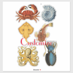 Unieke Zee wordt beoordeeld Thunder_Cove Sticker