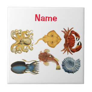 Unieke Zee wordt beoordeeld Thunder_Cove Tegeltje