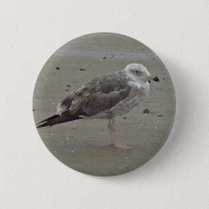 Unieke zeegarnaal alleen op zand-zeevogel ronde button 5,7 cm