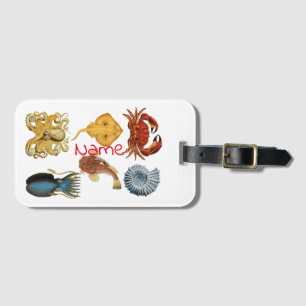 Unieke Zeeschepsels Sortering Thunder_Cove Bagagelabel