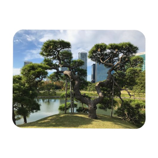 Unieke zwarte pingstructuur magneet (Horizontaal)