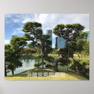 Unieke zwarte pingstructuur poster