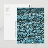 Unimak Pass Shearwater Briefkaart (Voorkant / Achterkant)