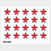 Union Jack Ster Sticker (Vel)