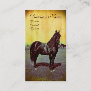 Union vintage de guerre civile Cheval Cartes de vi