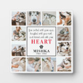 Unique Plaque Personnalisée 12 Photos Perte d'Anim (Devant)