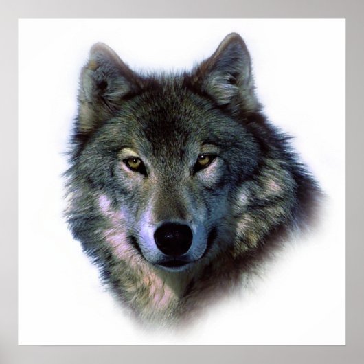 Unique Wolf Art Motivational Freedom Poster (Devant)