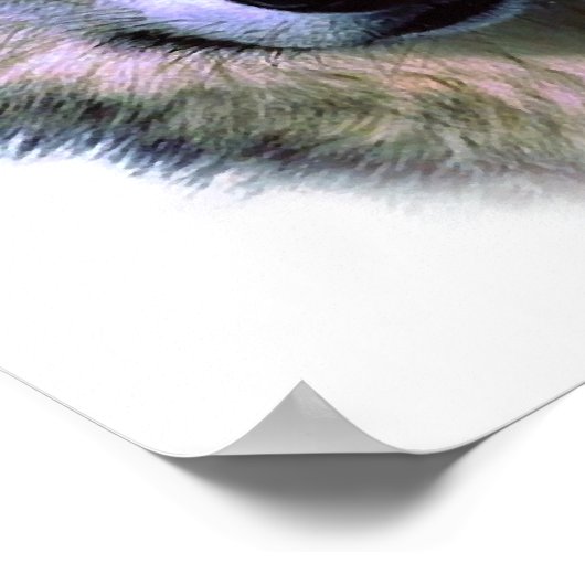 Unique Wolf Eyes Artwork Freedom Poster (Coin)